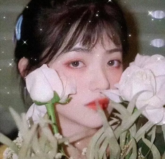 花园岛